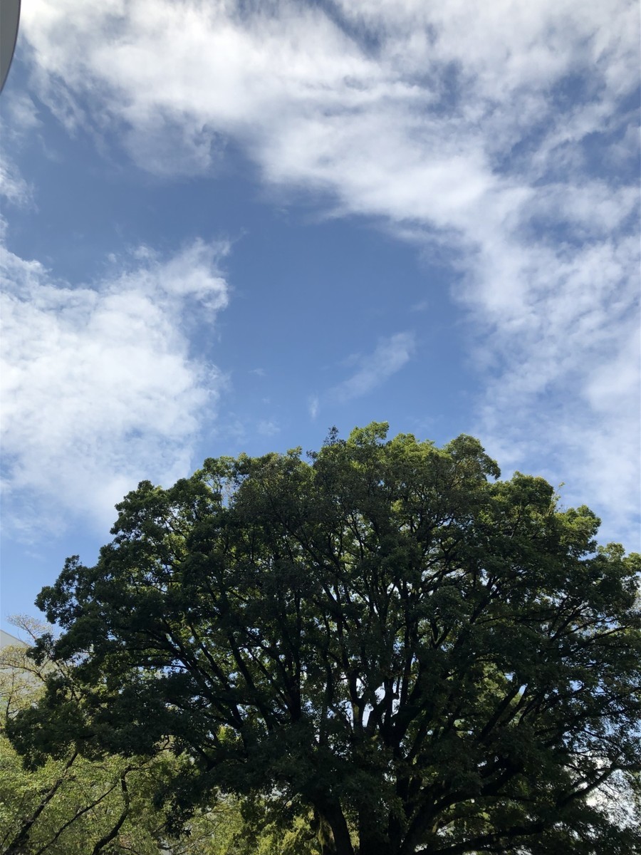f:id:tokyo_sotai:20190928112247j:plain