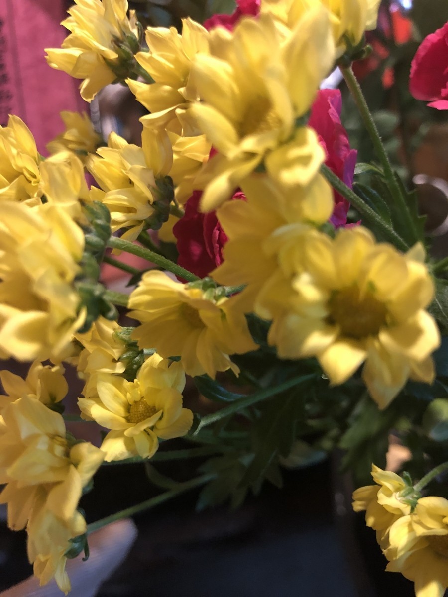f:id:tokyo_sotai:20190928112758j:plain