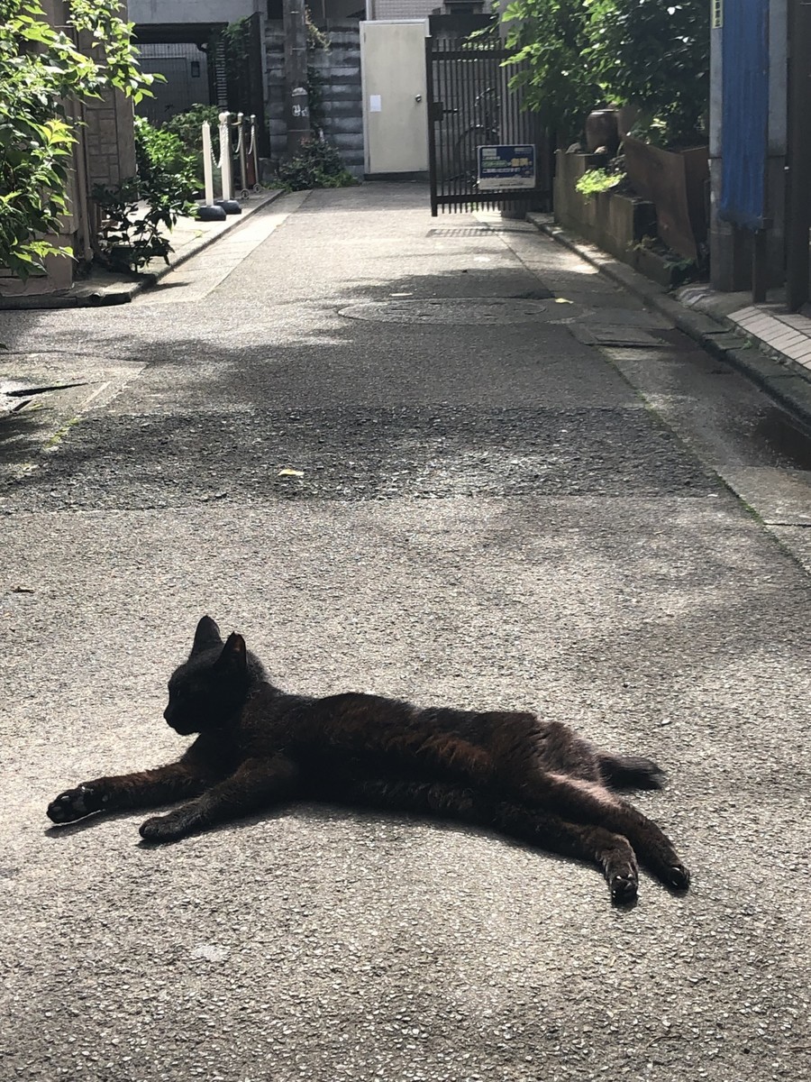 f:id:tokyo_sotai:20191210135934j:plain