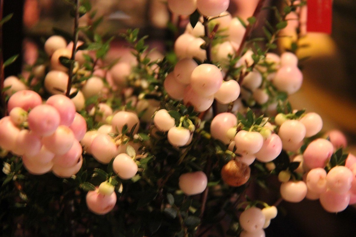 f:id:tokyo_sotai:20201225131218j:plain